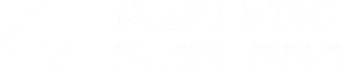 Analytic Pixel Pro Logo