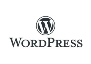 wordpress analítica web